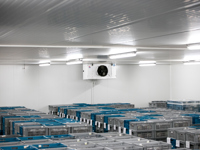 Großes Kühlhaus mit eingelagerter Ware und Deckenverdampfer.