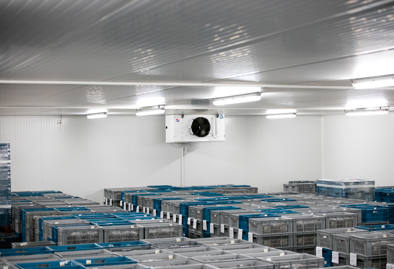 Großes Kühlhaus mit eingelagerter Ware und Deckenverdampfer.